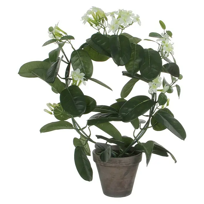 Planta artificial Stephanotis - 50 cm, Blanca, Plástico