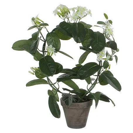 Planta artificial Stephanotis