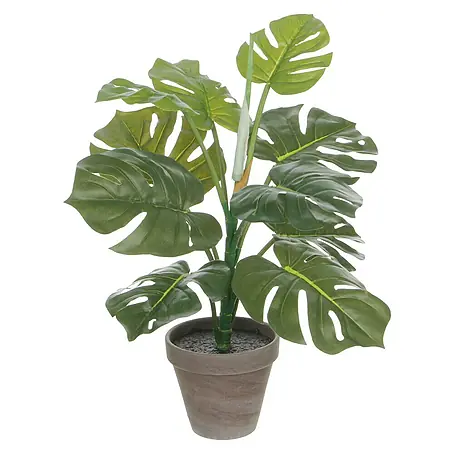 Planta artificial Philo verde