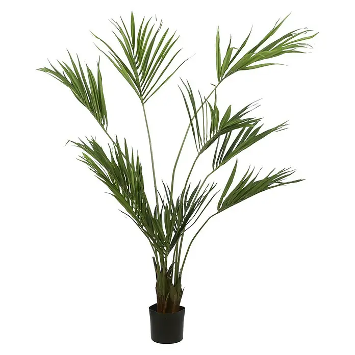 Planta artificial Kentia - Altura: 180 cm, Verde, Plástico