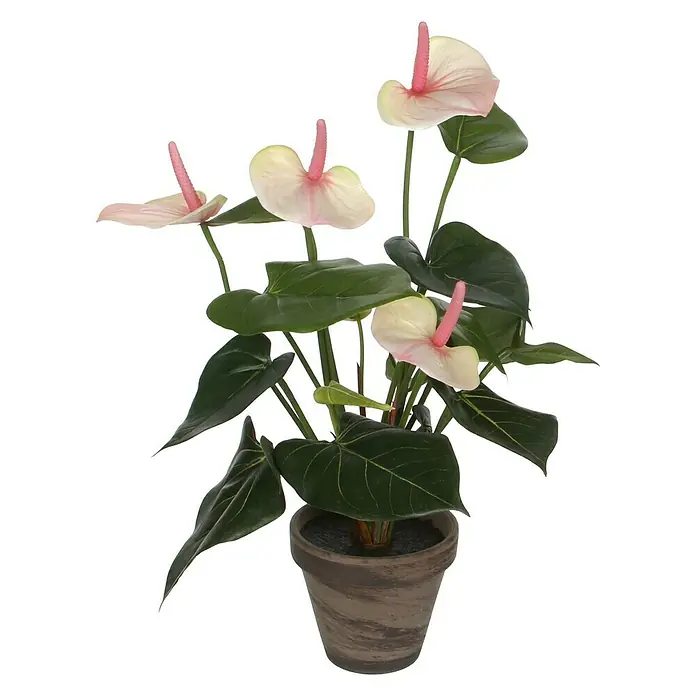 Planta artificial Anturio - Altura: 40 cm, Crema, Plástico