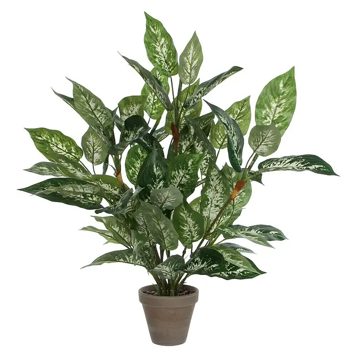 Planta artificial Dieffenbachia - Altura: 70 cm, Plástico