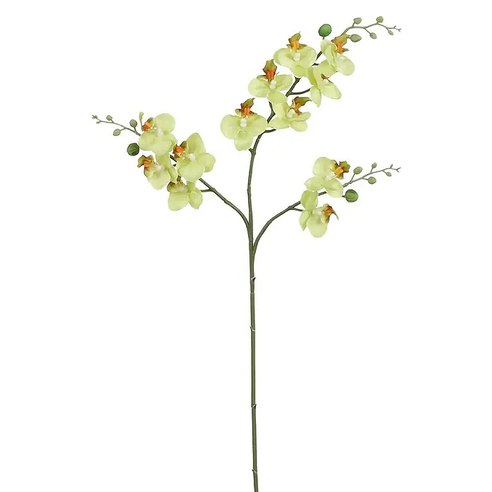 Planta artificial Orquídea - Altura: 75 cm, Verde, Plástico