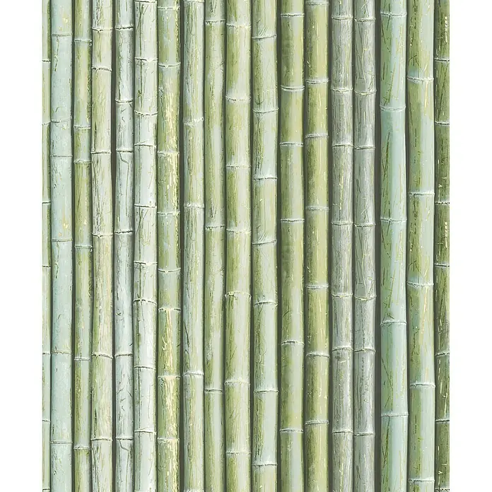 Papel pintado Bambú - Verde, 10 x 0,53 m