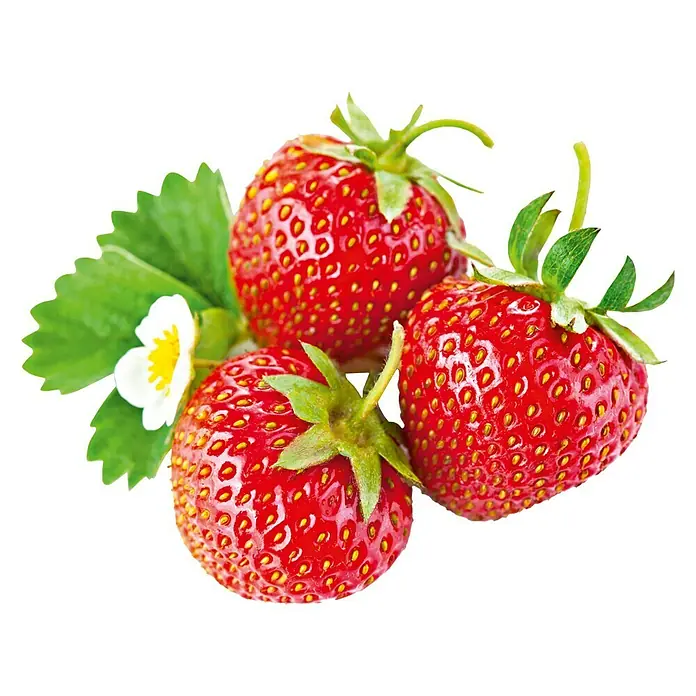 Erdbeere - Div. Sorten Asia, Rosana, Mara de Bois, etc., Erntezeit: Juni - Juli