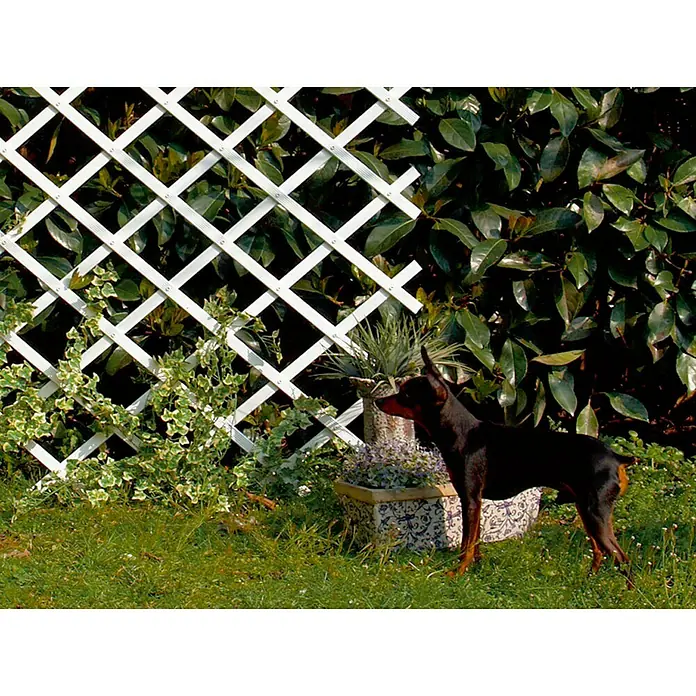 Nortene Espaldera semirredonda Trelliflex - An x Al: 1 x 3 m, Extensible, Blanco