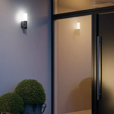Steinel  LED-Sensor-Außenwandleuchte L 620 CAM S ANT