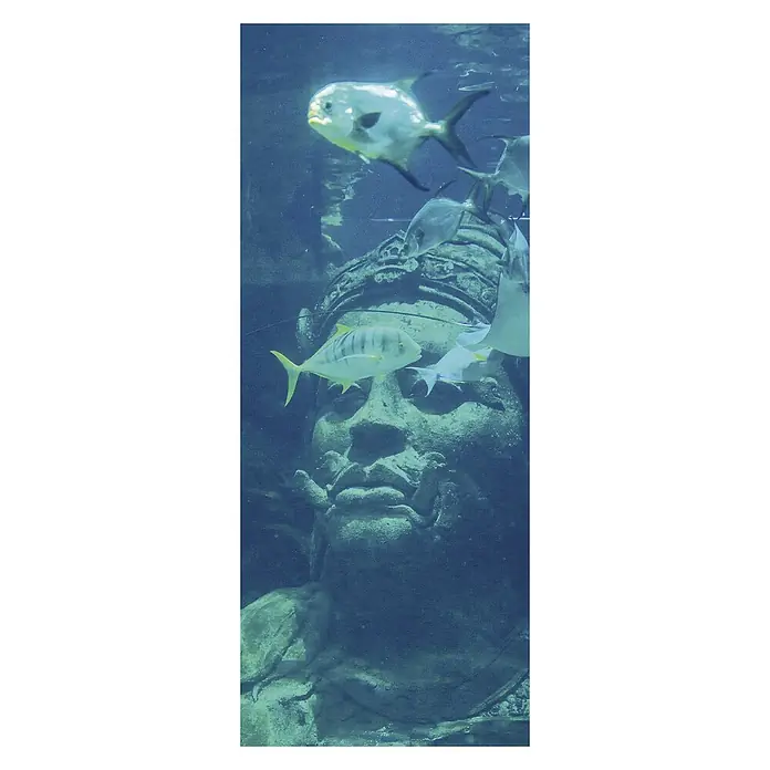 SanDesign Acryl-Verbundplatte - 100 x 250 cm, Underwater World - Vorderansicht