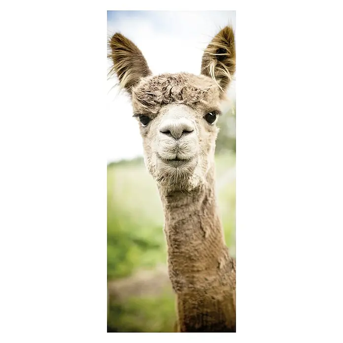 SanDesign Alu-Verbundplatte - 100 x 250 cm, Alpaca - Vorderansicht