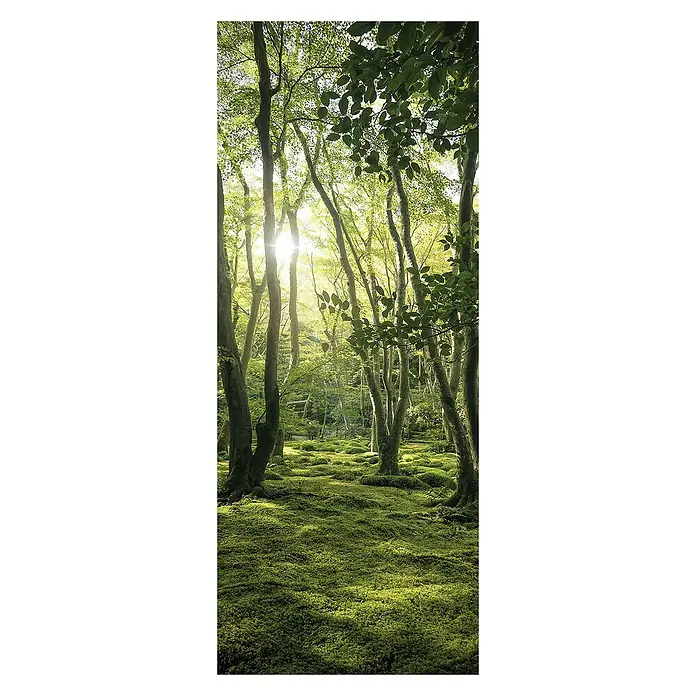 SanDesign Acryl-Verbundplatte - 100 x 250 cm, Sunny Forest - Vorderansicht
