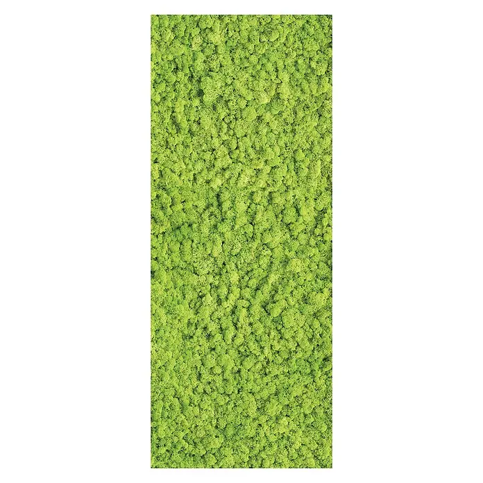 SanDesign Acryl-Verbundplatte - 100 x 250 cm, Moos - Vorderansicht
