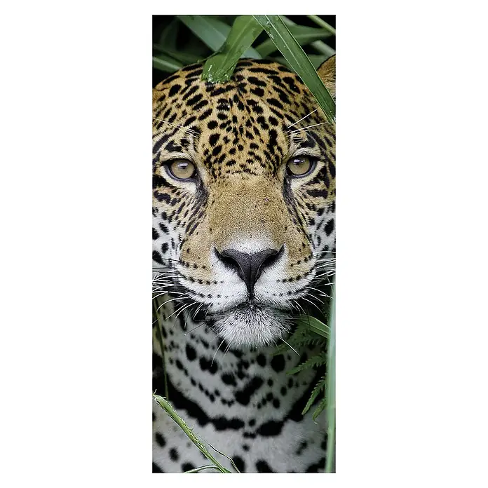 SanDesign Alu-Verbundplatte - 100 x 250 cm, Eye of the Tiger - Vorderansicht