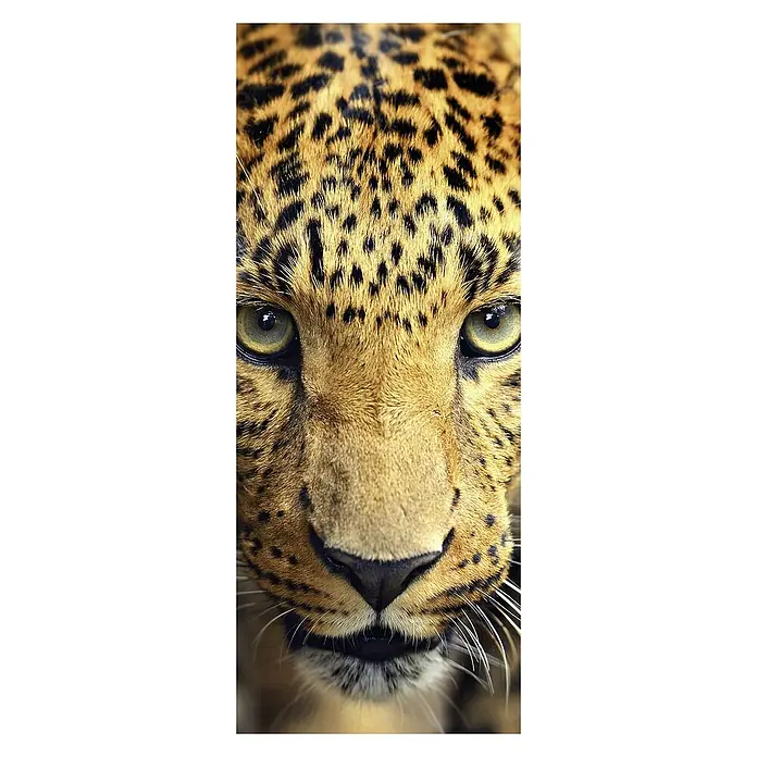 SanDesign Alu-Verbundplatte - 100 x 250 cm, King of the Jungle - Vorderansicht