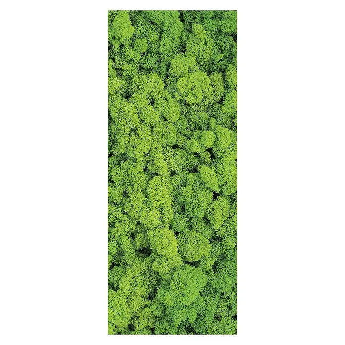 SanDesign Acryl-Verbundplatte - 100 x 250 cm, Flower Moos - Vorderansicht