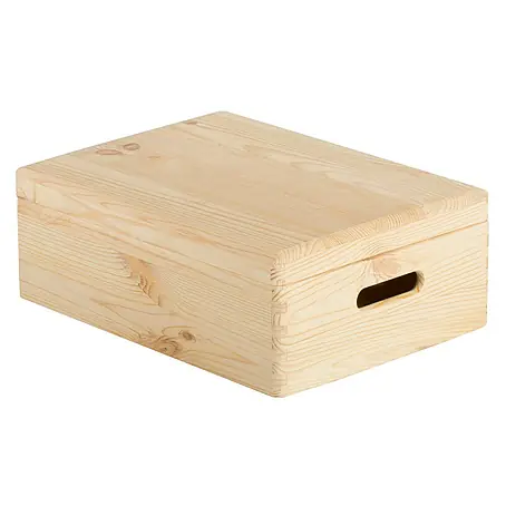 Astigarraga  Caja con tapa