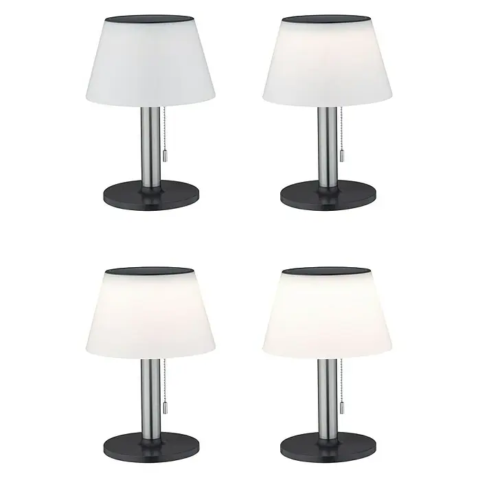 Paulmann LED-Solar-Dekoleuchte Lillesol - Ein-/Ausschalter, 0,8 W, Metall, Warmweiß - Vorderansicht