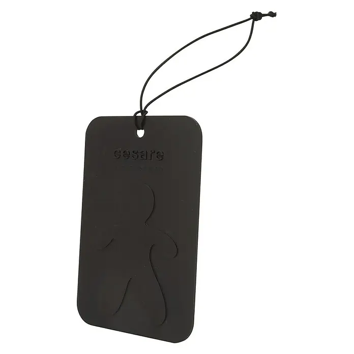 Mr & Mrs Fragrance Cesare Card Lufterfrischer - Duft: Cedar Wood - Vorderansicht