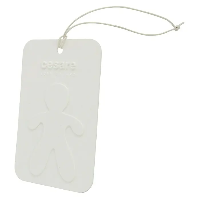 Mr & Mrs Fragrance Cesare Card Lufterfrischer - Duft: Fresh Air - Vorderansicht