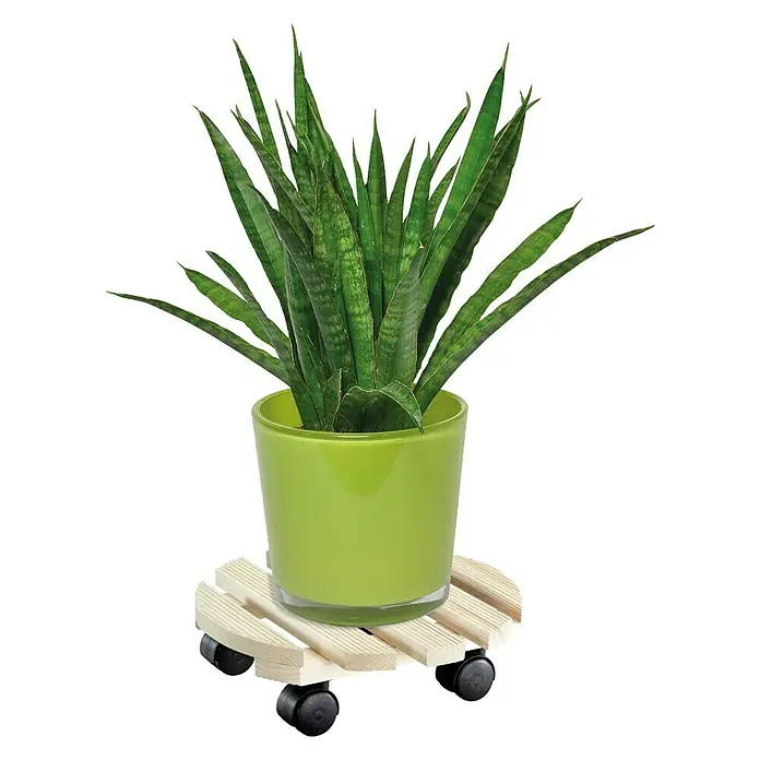 Gardol Pflanzenroller Andaluz - Natur, Rund, Max. Belastung: 100 kg - Anwendungsbeispiel
