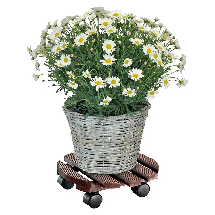 Gardol Pflanzenroller Andaluz - Palisander, Rund, Max. Belastung: 100 kg - Anwendungsbeispiel
