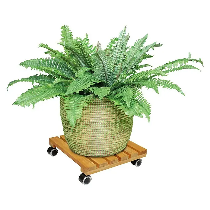 Gardol Pflanzenroller Classic Soft - Quadratisch, Erle, Max. Belastung: 100 kg - Anwendungsbeispiel