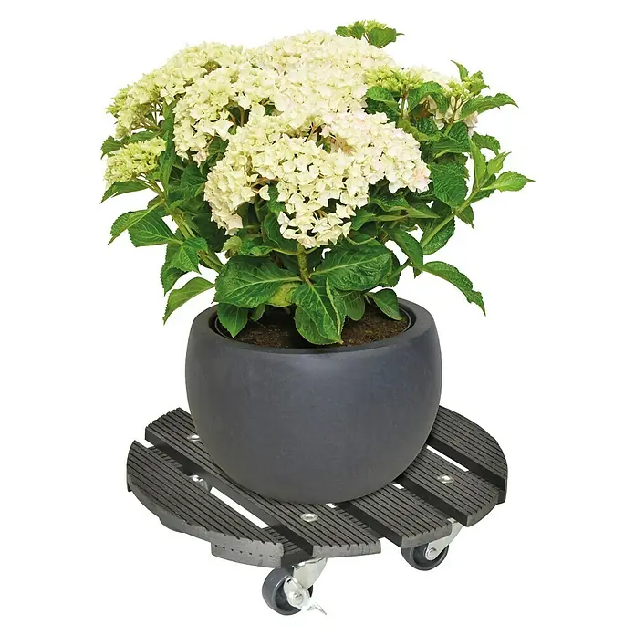 Gardol Pflanzenroller - 29 cm, WPC, Anthrazit, Max. Belastung: 100 kg - Anwendungsbeispiel