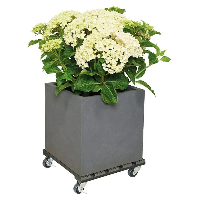 Gardol Pflanzenroller - 29 x 29 cm, WPC, Anthrazit, Max. Belastung: 80 kg - Anwendungsbeispiel