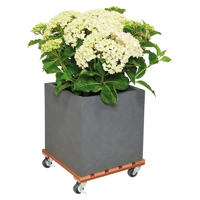 Gardol Pflanzenroller - 29 x 29 cm, WPC, Terracotta, Max. Belastung: 80 kg - Anwendungsbeispiel