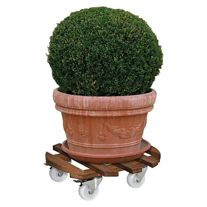 Gardol Podložak za biljke s kotačićima - 45 cm, Maksimalna nosivost: 250 kg - Proizvod u upotrebi