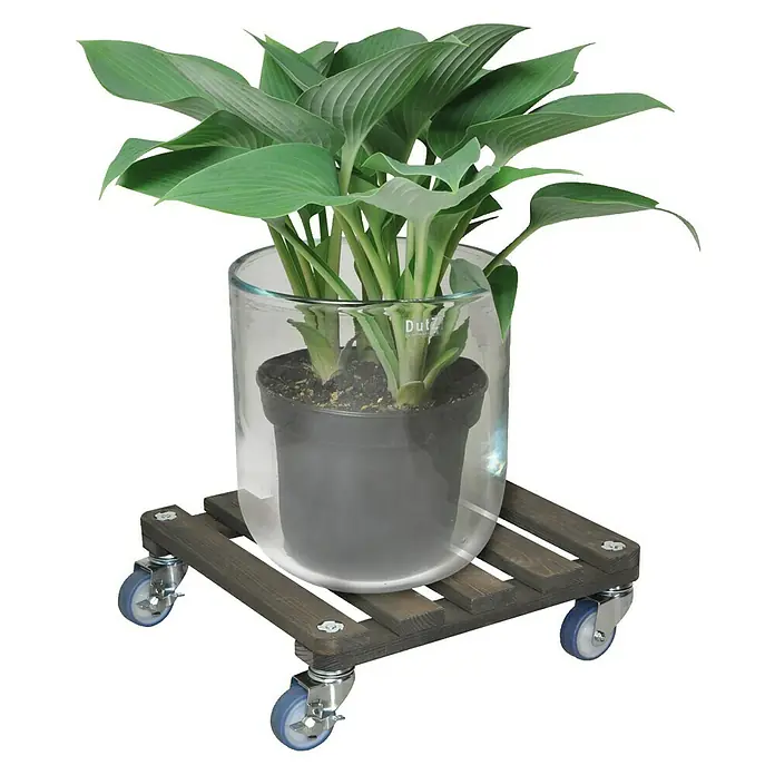Gardol Pflanzenroller Concrete - Max. Belastung: 200 kg - Stimmungsaufnahme