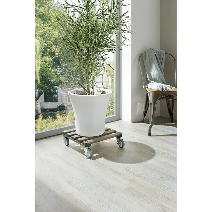 Gardol Pflanzenroller Concrete - Max. Belastung: 200 kg - Stimmungsaufnahme