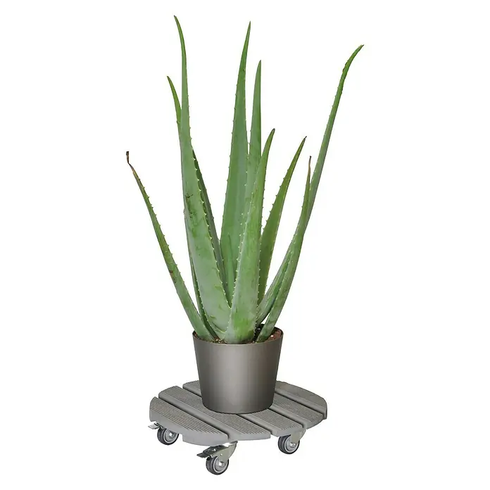 Gardol Pflanzenroller Verona - 38 cm, Max. Belastung: 200 kg - Anwendungsbeispiel