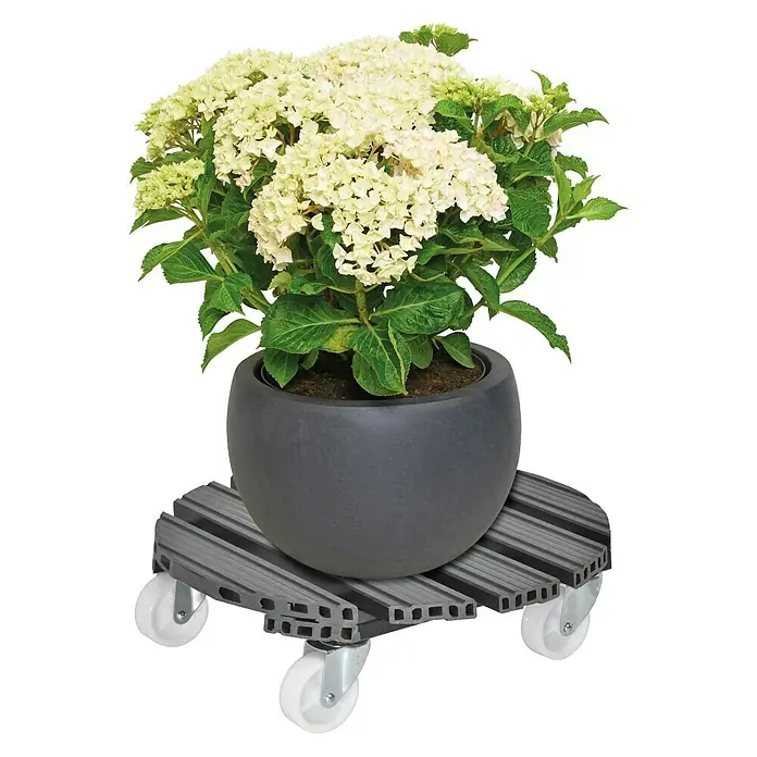 Gardol Pflanzenroller WPC - 38,5 cm, WPC, Anthrazit, Max. Belastung: 200 kg - Anwendungsbeispiel