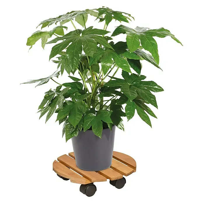 Gardol Pflanzenroller - Natur, Max. Belastung: 100 kg - Anwendungsbeispiel