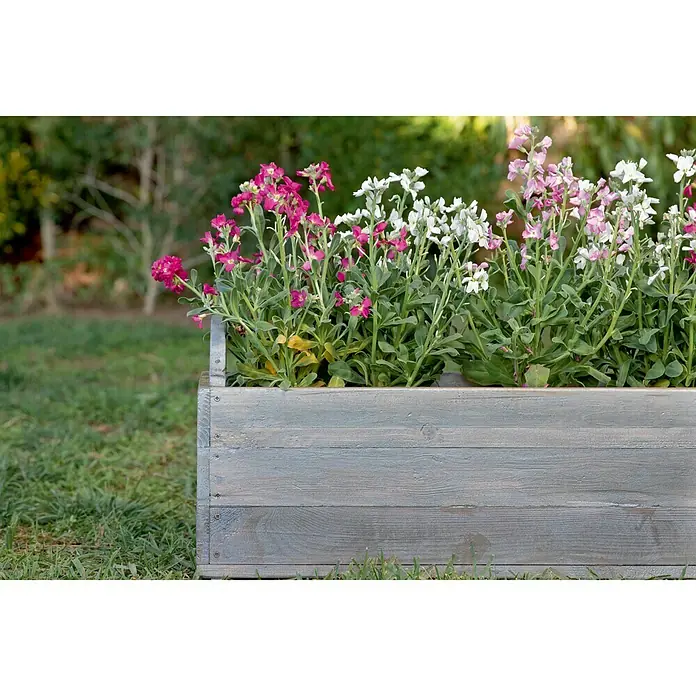 Bondex Holzlasur Garden Greys - Hell Naturgrau, 750 ml, Seidenmatt
