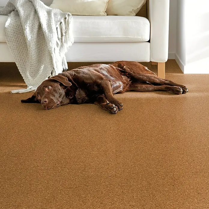 Corklife Studiostyle Korkboden Beja - 905 x 295 x 10,5 mm - Stimmungsaufnahme