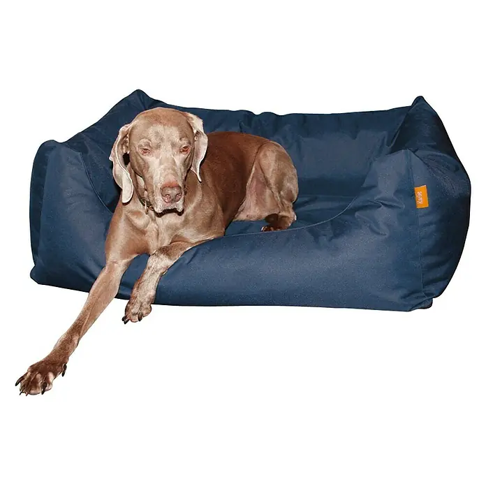 Karlie Cama para perros Dream - 67 x 80 x 22 cm, Poliuretano, Azul - Producto en uso