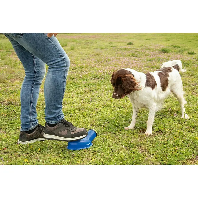 Beeztees Fetch Lanzador de balones - Plástico, Azul, Apto para: Perros - Producto en uso