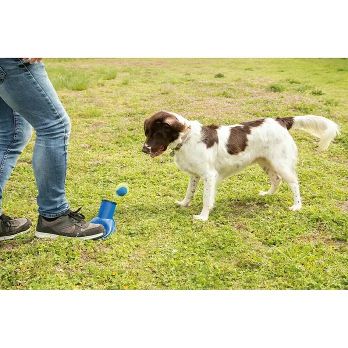 Beeztees Fetch Lanzador de balones - Plástico, Azul, Apto para: Perros - Producto en uso
