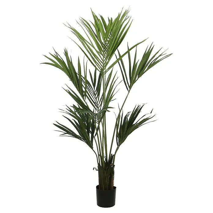 Planta artificial Kentia - Altura: 150 cm, Verde, Plástico