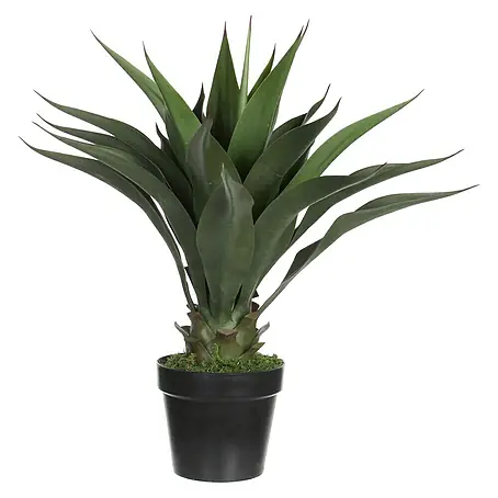 Planta artificial Agave