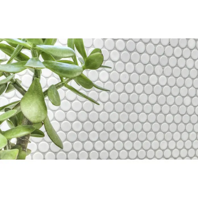 Mozaïektegel rond Uni 110N - 30,5 x 32 cm, Wit, Mat - Close-up