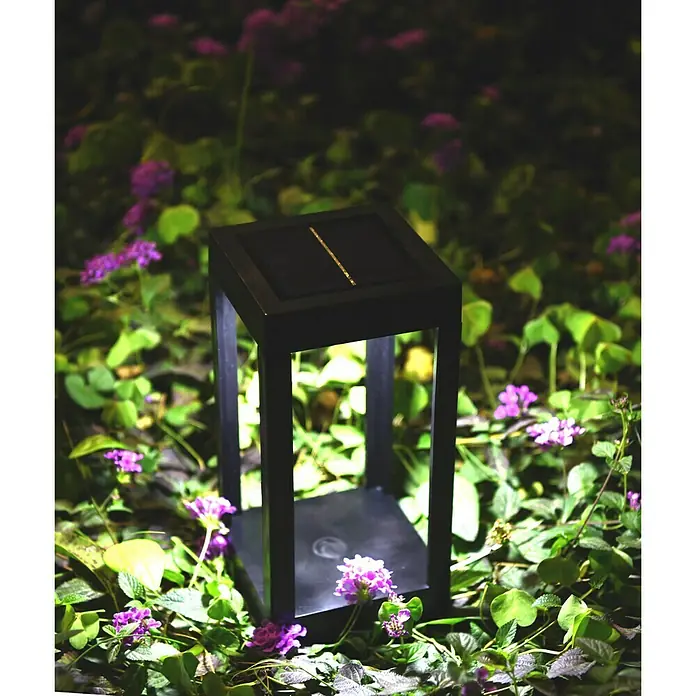 BAUHAUS Solarleuchte Piazza - 12 x 0,06 W, Schwarz, 11,8 x 11,8 x 23,5 cm
