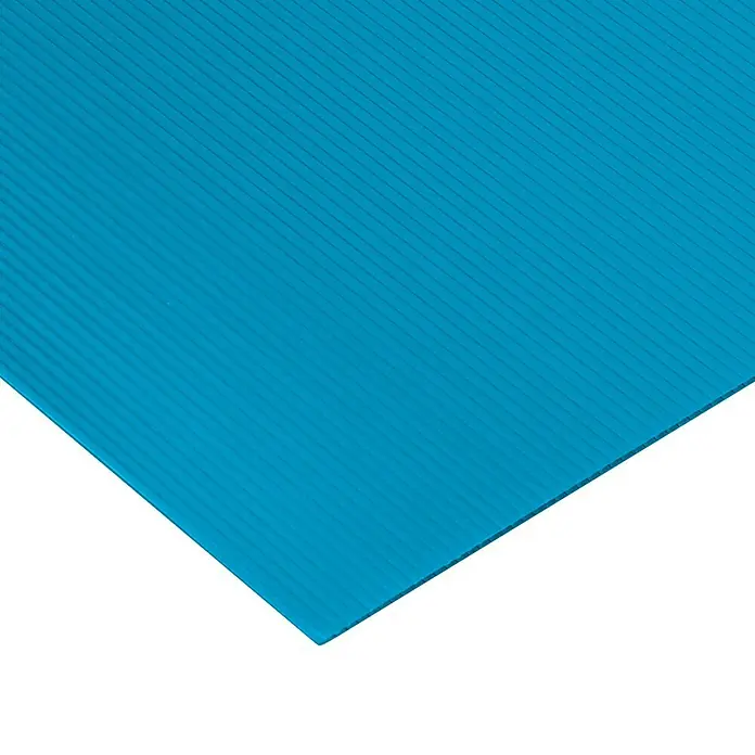 Vetronova Placa alveolar - 50 cm x 50 cm x 2,5 mm, Polipropileno, Azul