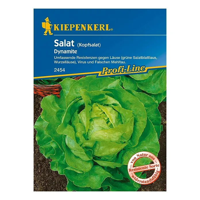 Kiepenkerl Profi-Line Salatsamen Kopfsalat Dynamite - Lactuca sativa var. capitata, Erntezeit: April