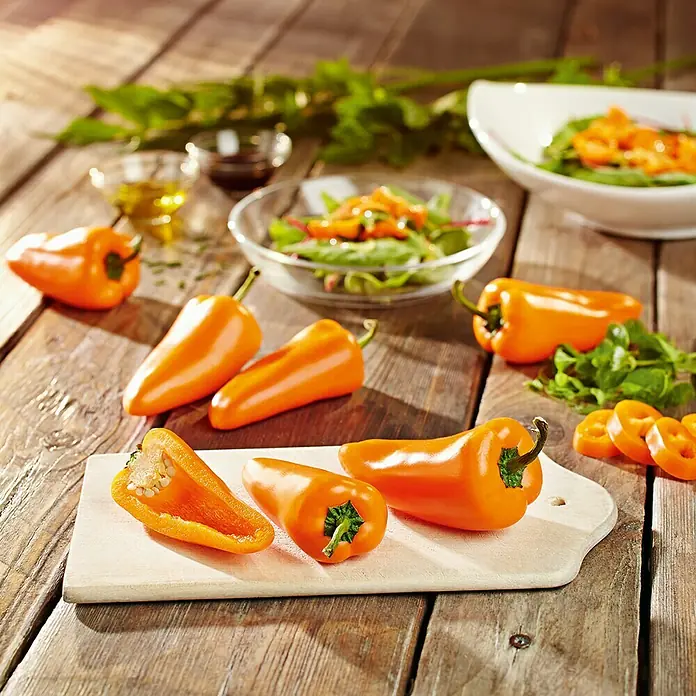 Kiepenkerl Profi-Line Gemüsesamen Snackpaprika - Capsicum annuum, Erntezeit: Juli