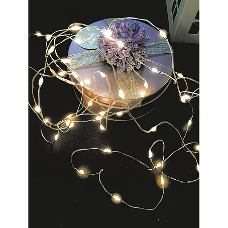 Globo  Guirnalda luminosa LED Venuto