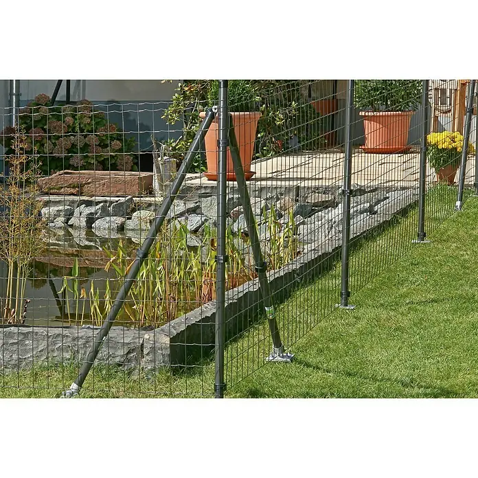 Hadra Maschendrahtzaun - 25 x 0,81 m, Anthrazit
