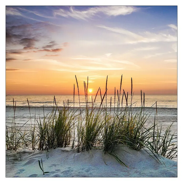 ProArt Maritime Glasbild - Lonely Dune, B x H: 80 x 80 cm - Vorderansicht
