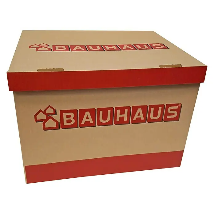 BAUHAUS Caja para archivadores - 2 ud., L x An x Al: 397 x 320 x 288 mm, Cartón corrugado - Vista angular